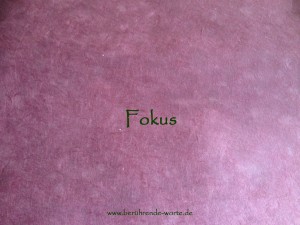 2016-04-11_Fokus_